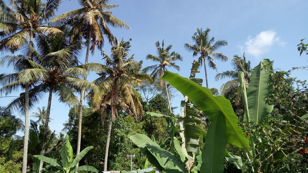 Uma Loris Ubud Exterior foto